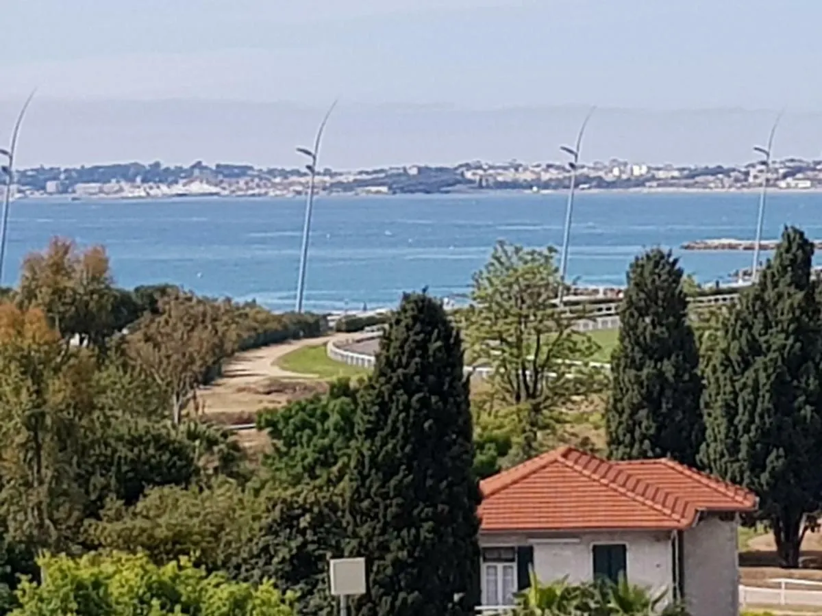 Charmant Petit Studio A 100 M De La Mer 滨海卡涅 0*,